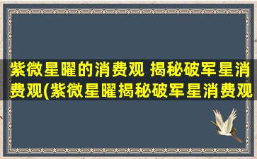 紫微星曜的消费观 揭秘破军星消费观(紫微星曜揭秘破军星消费观)